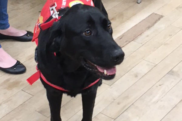 March 2018 Meeting speaker Katie Purcell and her Medic Alert Dog Archie